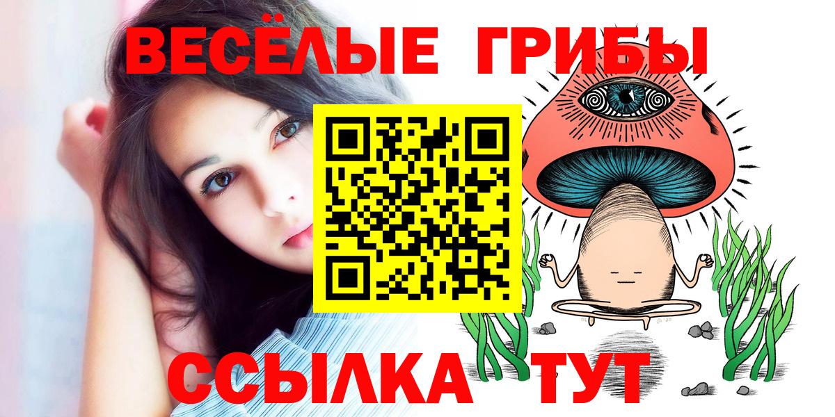 Рузаевка  Псилоцибиновые грибы прущие грибы  Вход с VPN 