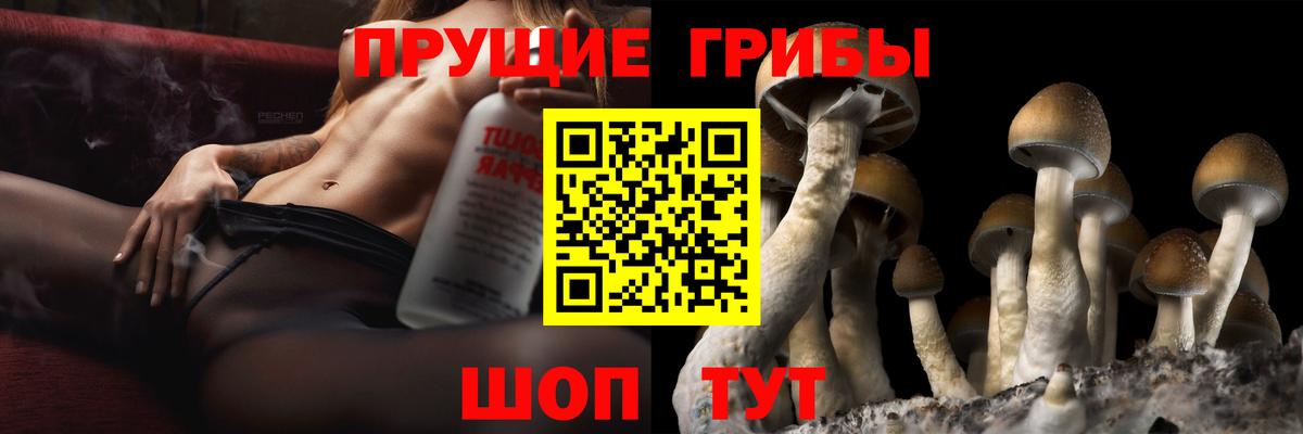 Псилоцибиновые грибы Psilocybine cubensis Рузаевка